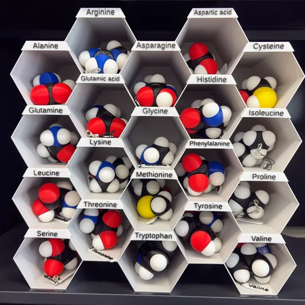 https://makerworld.bblmw.com/makerworld/user/3606686484/collection/2025-08-16_66b52e8bf4b308.jpg