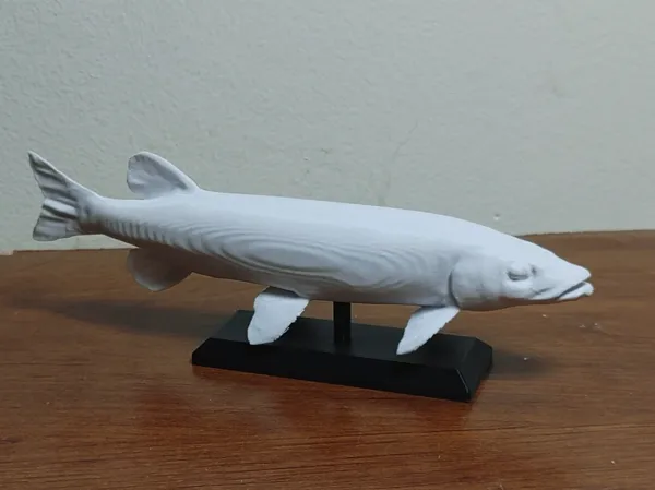 https://makerworld.bblmw.com/makerworld/user/3646114615/collection/2025-03-18_8fb55fce45435.jpg
