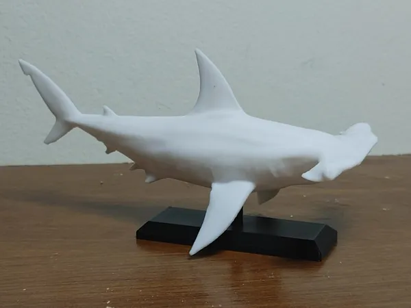 https://makerworld.bblmw.com/makerworld/user/3646114615/collection/2025-03-18_95c90bc945875.jpg