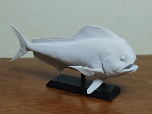 https://makerworld.bblmw.com/makerworld/user/3646114615/collection/2025-03-18_9dd80eaa8574.jpg
