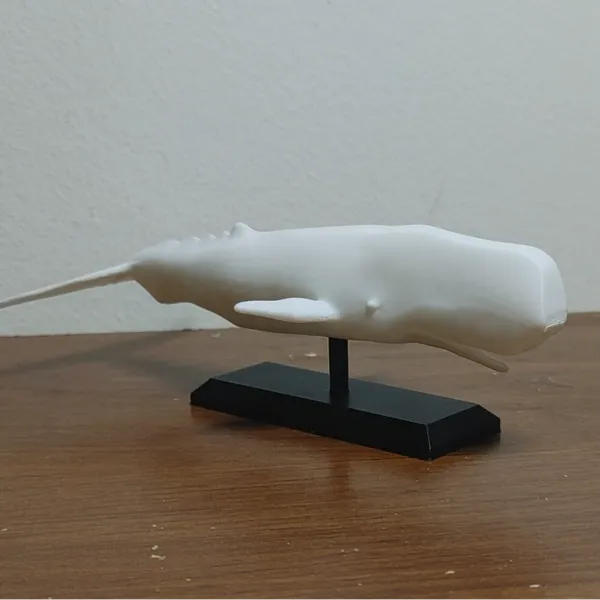 https://makerworld.bblmw.com/makerworld/user/3646114615/collection/2025-06-09_30ff3914626e8.jpg