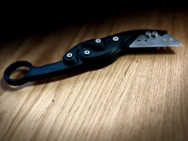 https://makerworld.bblmw.com/makerworld/user/3685580183/collection/2024-09-15_3239ffd431b2.jpg
