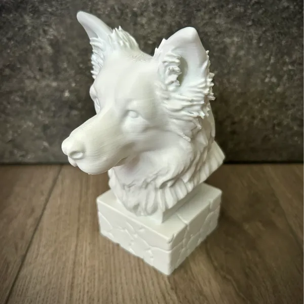 https://makerworld.bblmw.com/makerworld/user/3717322495/collection/2025-06-07_c966175673bf.jpeg