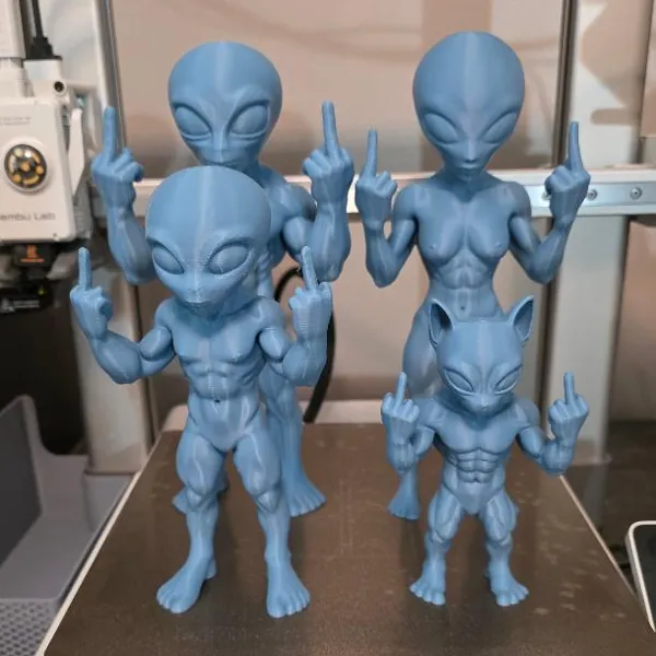 https://makerworld.bblmw.com/makerworld/user/3727409289/collection/2025-09-21_ada9c71809de8.jpg