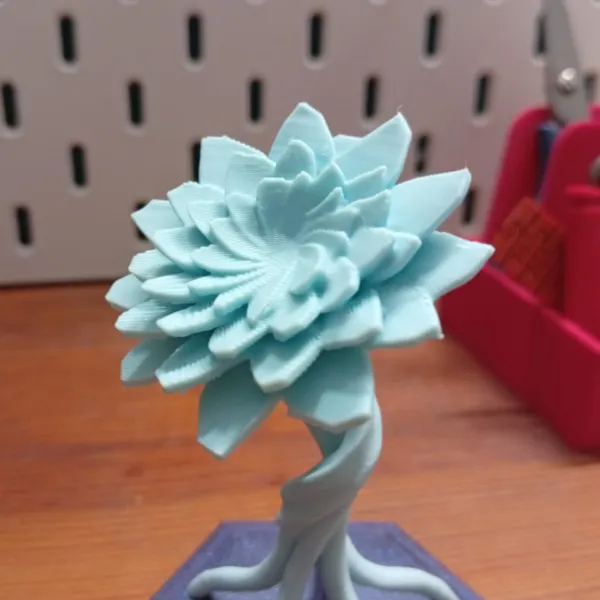 https://makerworld.bblmw.com/makerworld/user/3773232039/collection/2025-11-02_169150b7093488.jpeg