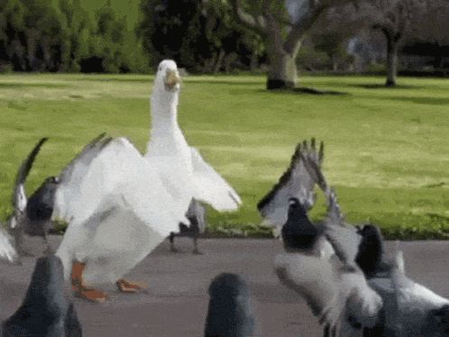 https://makerworld.bblmw.com/makerworld/user/378491989/collection/2025-04-30_6e66c28b16c0d8.gif