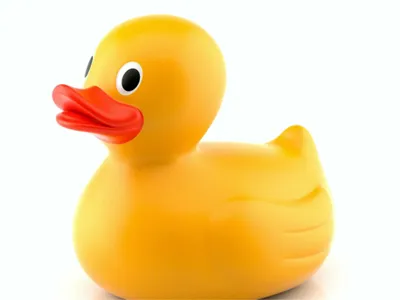 Ducks