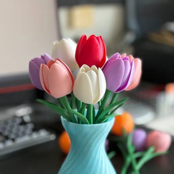 https://makerworld.bblmw.com/makerworld/user/3921830283/collection/2025-05-27_4f1e90914c2a7.jpg