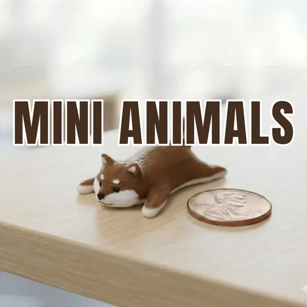https://makerworld.bblmw.com/makerworld/user/3943163800/collection/2026-01-01_71145b4815338.png