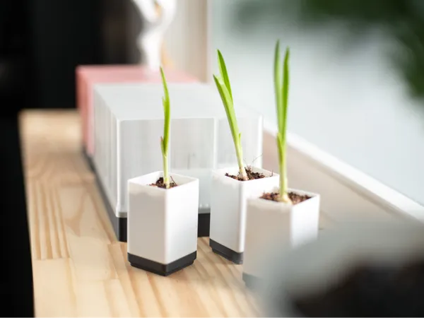 https://makerworld.bblmw.com/makerworld/user/3969008646/collection/2025-04-24_666fe8769bc8e8.jpg