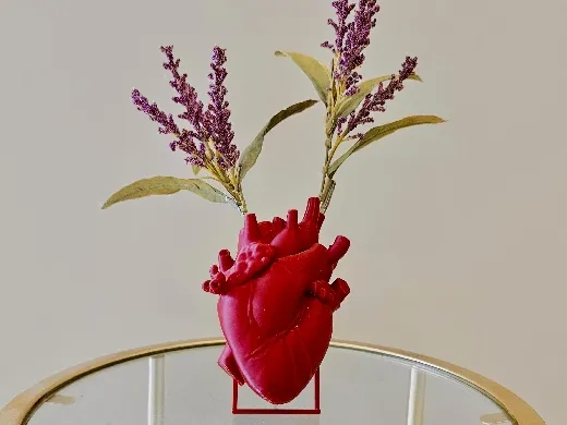 https://makerworld.bblmw.com/makerworld/user/3978059923/collection/3a67a910-b011-11f0-9618-4d5e11fde6c9.jpg