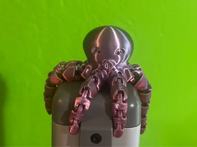  Octopus 