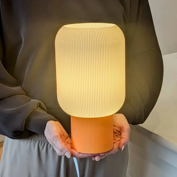 https://makerworld.bblmw.com/makerworld/user/4081592982/collection/2025-11-18_95760ce88697.webp