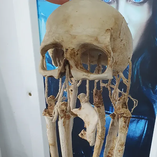 https://makerworld.bblmw.com/makerworld/user/4111590305/collection/2025-07-08_7299720697fb38.webp