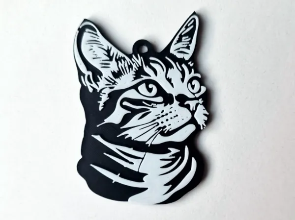 https://makerworld.bblmw.com/makerworld/user/4113344326/collection/2025-02-22_fb05994e7c17e.jpg