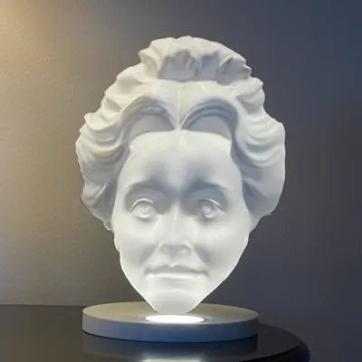 The Haunted Bust Illusions