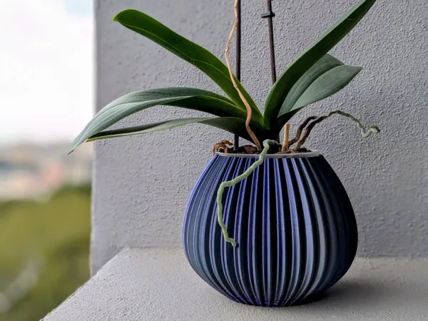 https://makerworld.bblmw.com/makerworld/user/4133460979/collection/2025-03-27_2c7636da862fb.jpg
