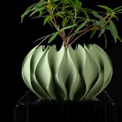 Planters