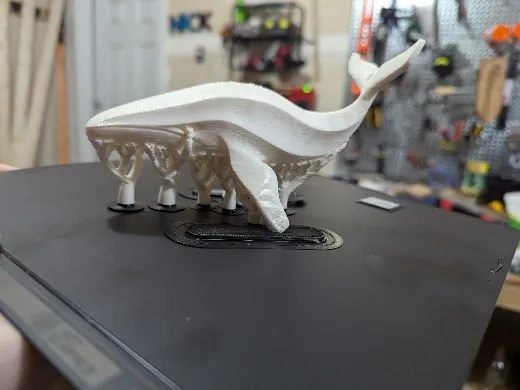 https://makerworld.bblmw.com/makerworld/user/426040135/collection/e7844e90-a488-11ef-b92d-4bb075a2987f.jpg
