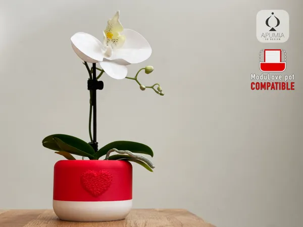 https://makerworld.bblmw.com/makerworld/user/4281732612/collection/2025-02-05_a6b497417ec31.png