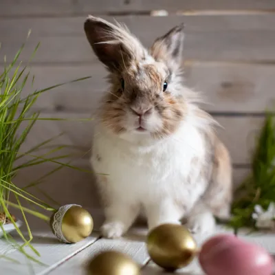 Easter