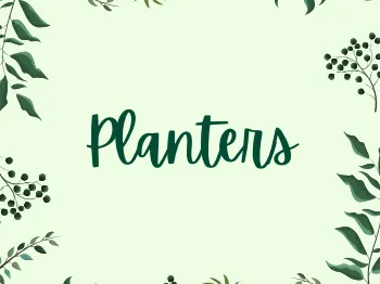 plants