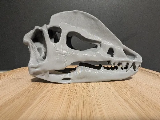 https://makerworld.bblmw.com/makerworld/user/435972400/collection/e0bbb600-fcf5-11ef-94c4-457be937983a.jpg