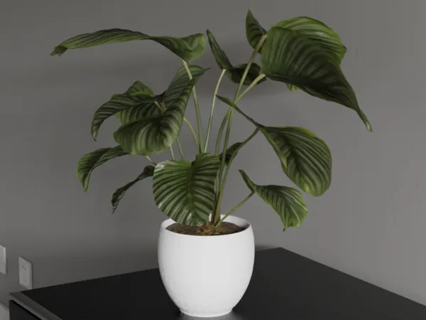 https://makerworld.bblmw.com/makerworld/user/451282836/collection/2025-04-01_c9fba112a2e0e.png