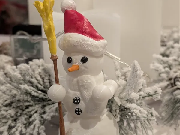 https://makerworld.bblmw.com/makerworld/user/456344913/collection/2024-12-07_e2b97f18ffaaa.jpeg