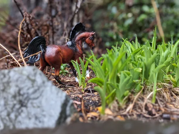 https://makerworld.bblmw.com/makerworld/user/463599352/collection/2024-12-23_e31288776e836.jpg