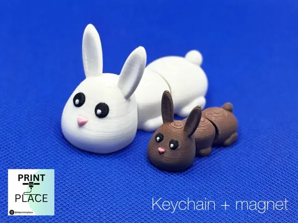 https://makerworld.bblmw.com/makerworld/user/465187756/collection/2025-03-12_3b7f67c5f1873.webp