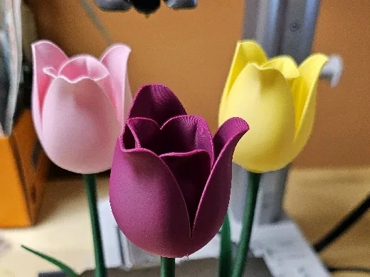 https://makerworld.bblmw.com/makerworld/user/499810677/collection/bd7daa00-1c0c-11f0-973b-c7086ae33377.jpg