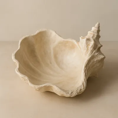 Shells R Us | Collection - MakerWorld: Download Free 3D Models
