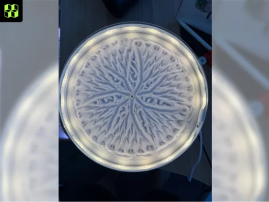 https://makerworld.bblmw.com/makerworld/user/519374329/collection/2024-12-28_0047d4c248b1.png