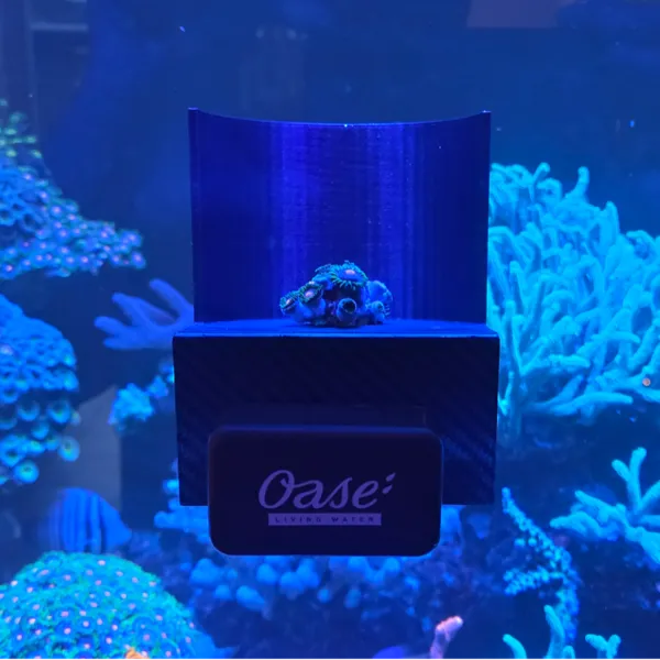 https://makerworld.bblmw.com/makerworld/user/523443082/collection/2025-09-12_a7e71ffde0679.jpg