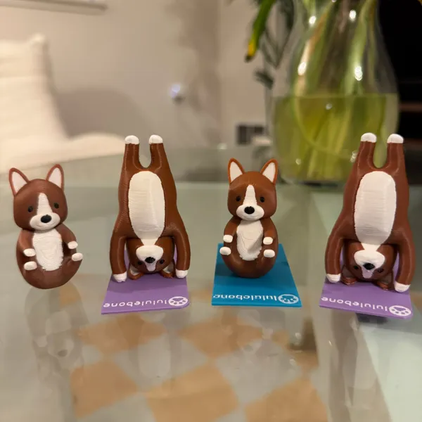 https://makerworld.bblmw.com/makerworld/user/572984496/collection/2025-05-09_7369f55a5d3f98.jpg