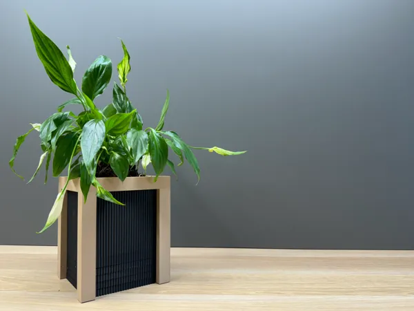https://makerworld.bblmw.com/makerworld/user/761560913/collection/2024-09-30_6974124c83aa3.jpeg