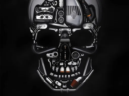 https://makerworld.bblmw.com/makerworld/user/779001497/collection/29ca32a0-964d-11ef-8b87-f53d658147ce.jpg