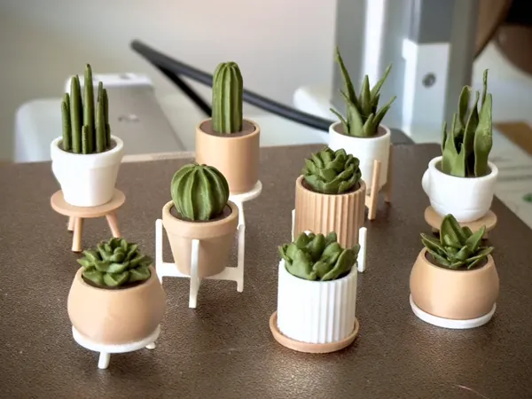 https://makerworld.bblmw.com/makerworld/user/861384374/collection/2025-03-10_ff474a9555879.webp