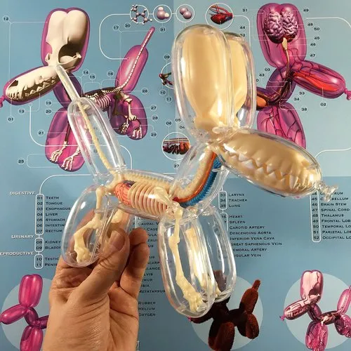 https://makerworld.bblmw.com/makerworld/user/915366722/collection/2025-05-22_583918b8cacf4.jpg