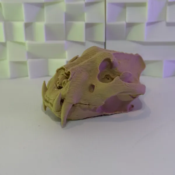 https://makerworld.bblmw.com/makerworld/user/951136429/collection/2025-12-28_1dc4564079a588.jpg