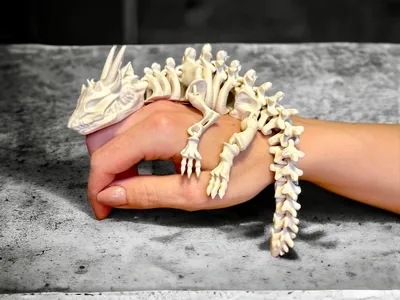 https://makerworld.bblmw.com/makerworld/user/979910734/collection/2024-08-15_037d577fe1692.webp