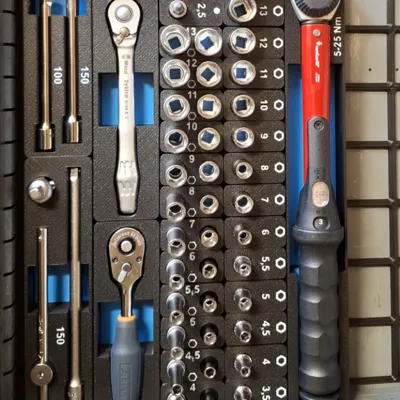 Moduleinlagen